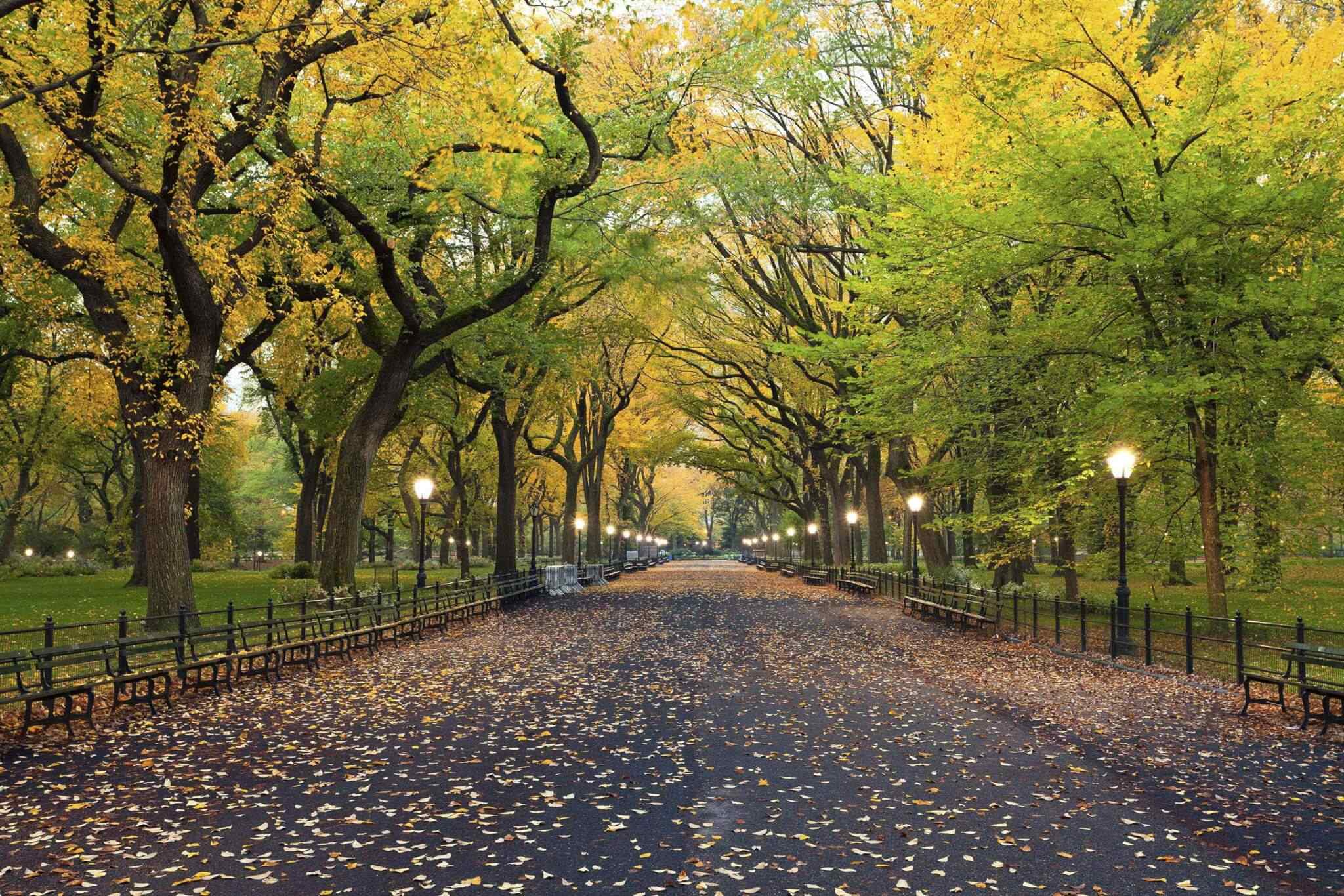https://traviator.ro/wp-content/uploads/2018/09/destination-new-york-02.jpg