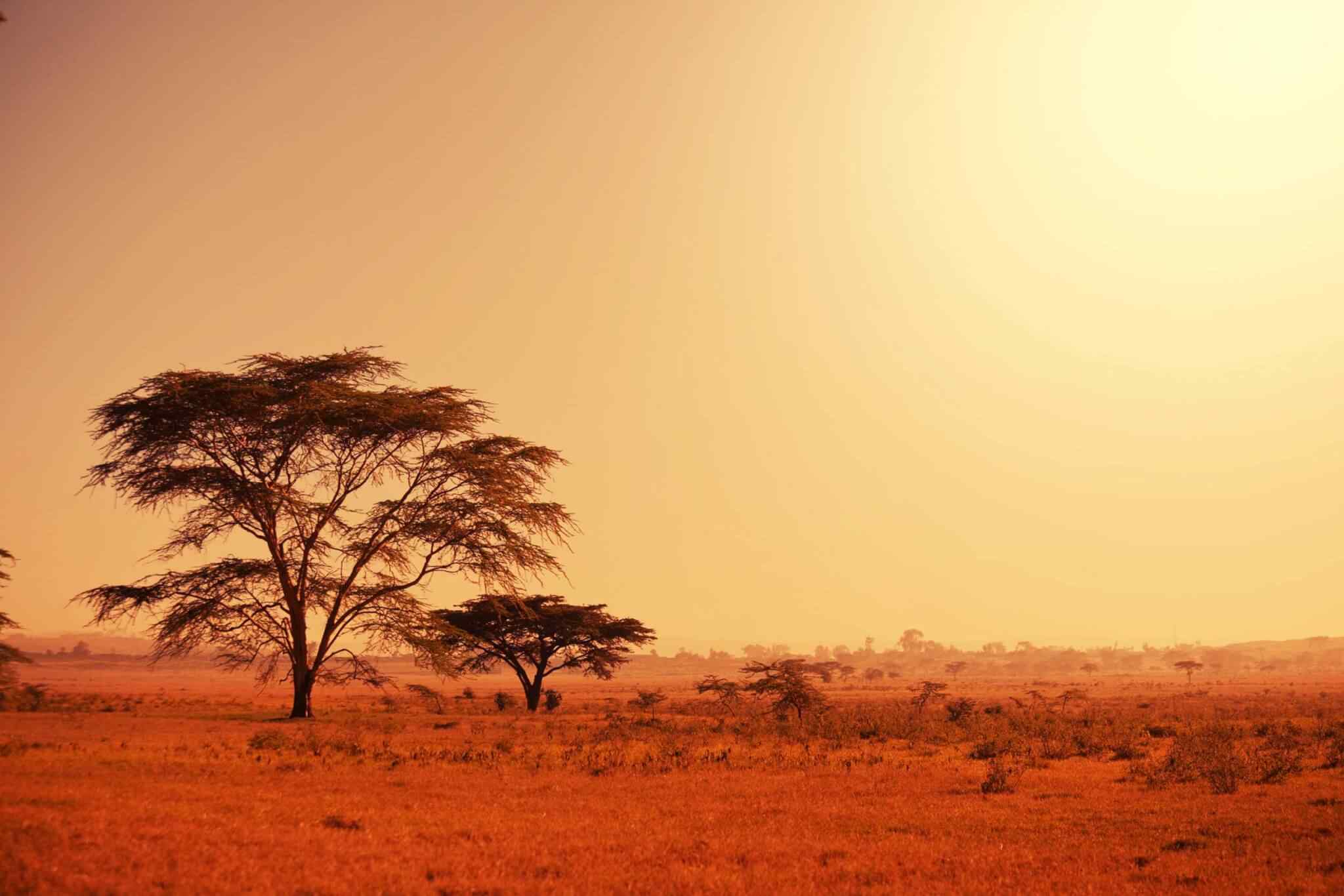 https://traviator.ro/wp-content/uploads/2018/09/tour-africa-02.jpg