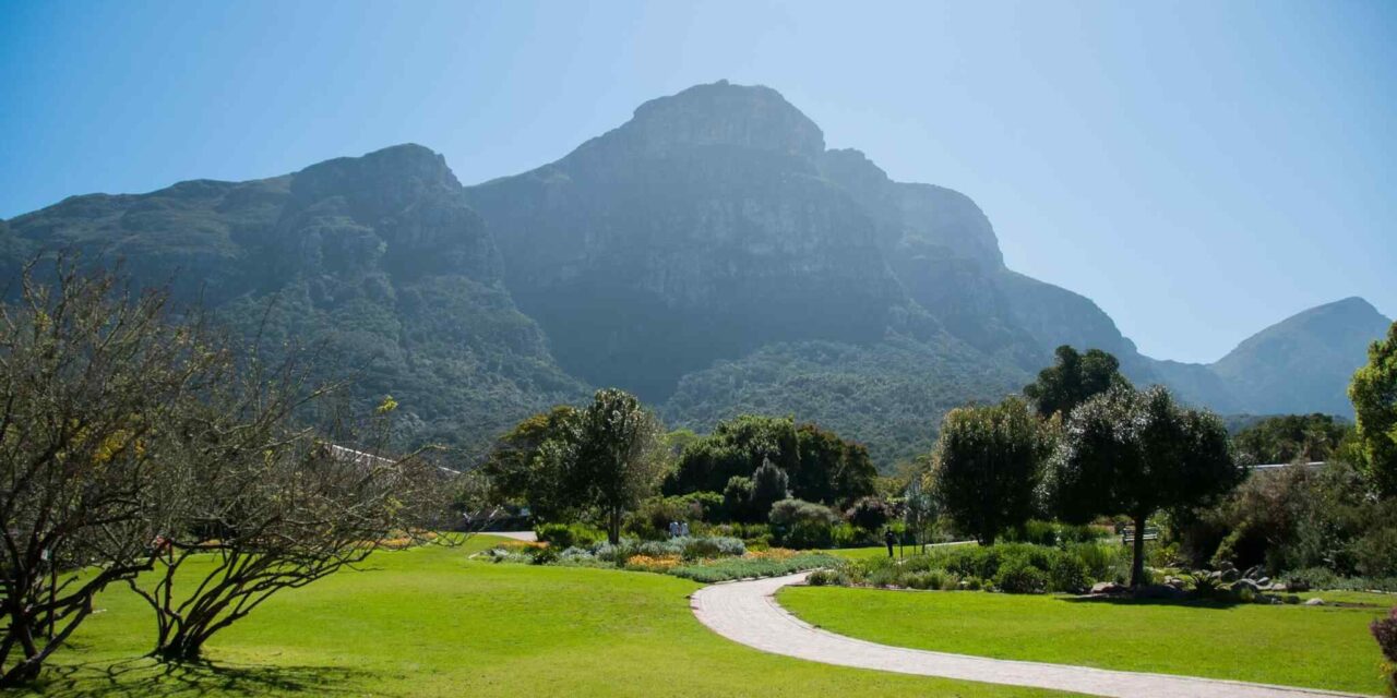 https://traviator.ro/wp-content/uploads/2018/09/tour-capetown-03-1280x640.jpg