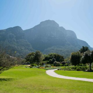 https://traviator.ro/wp-content/uploads/2018/09/tour-capetown-03-320x320.jpg