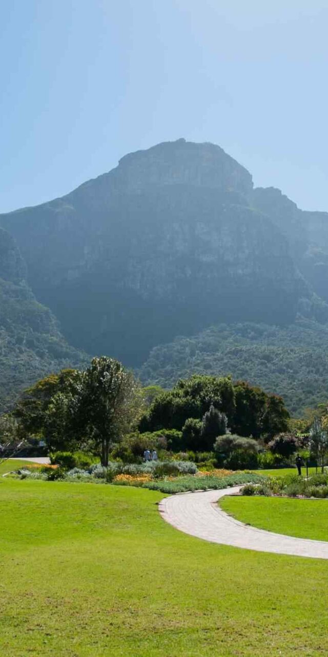 https://traviator.ro/wp-content/uploads/2018/09/tour-capetown-03-640x1280.jpg
