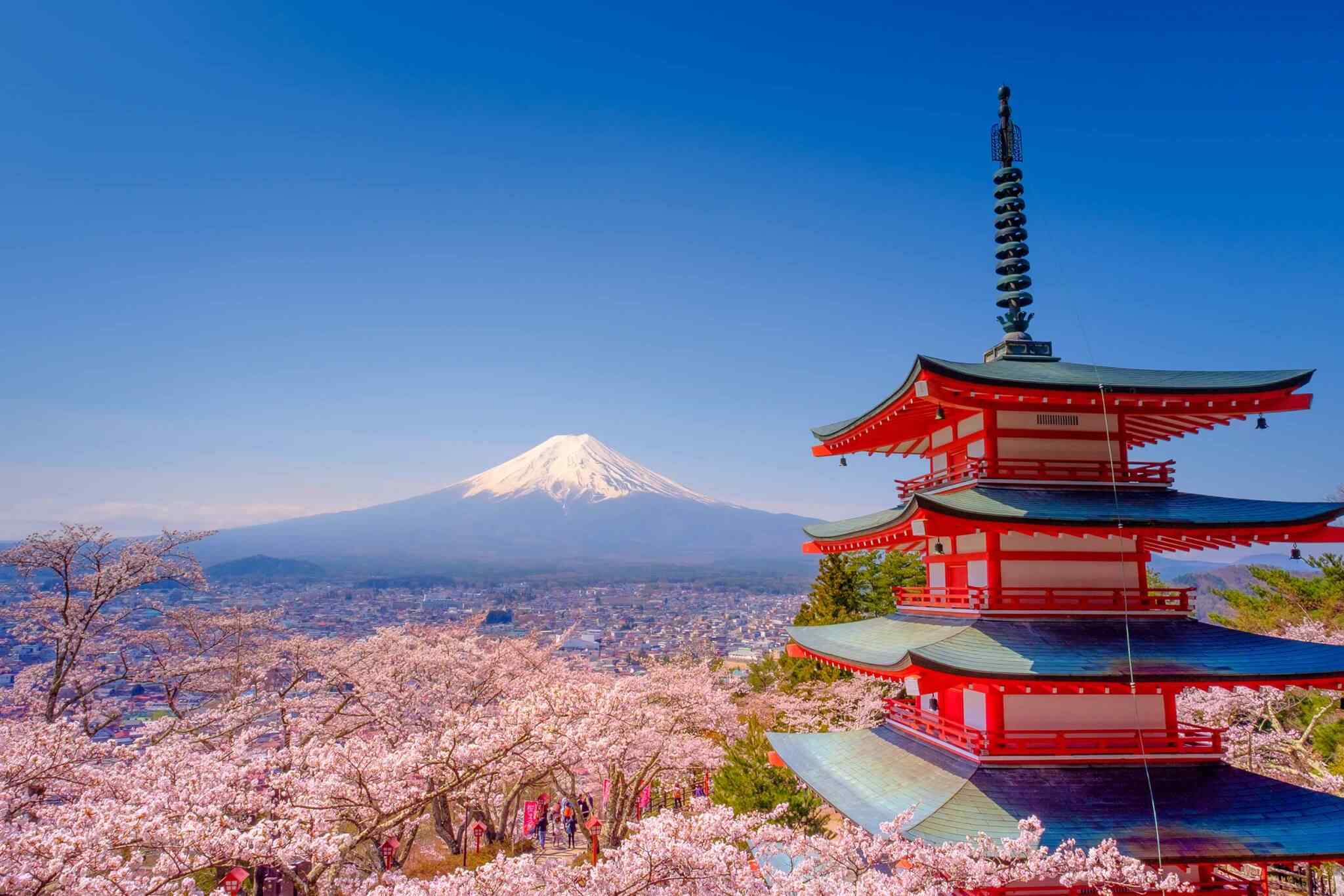 tour-fuji-01