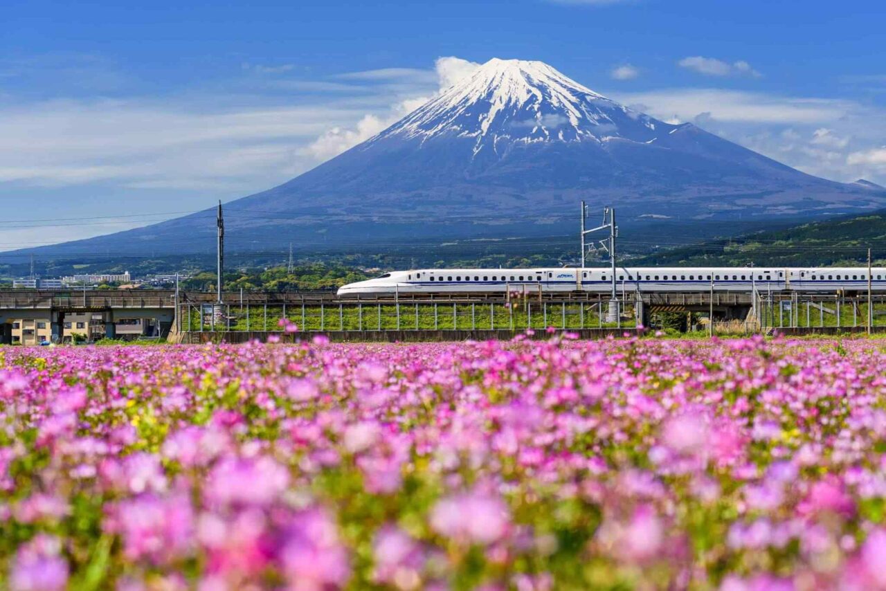 tour-osaka-04 https://traviator.ro/wp-content/uploads/2018/09/tour-osaka-04-1280x854.jpg
