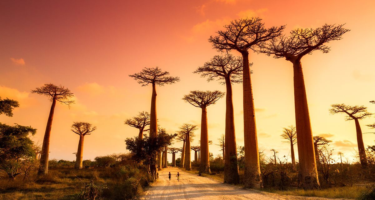 Madagascar: al optulea continent
