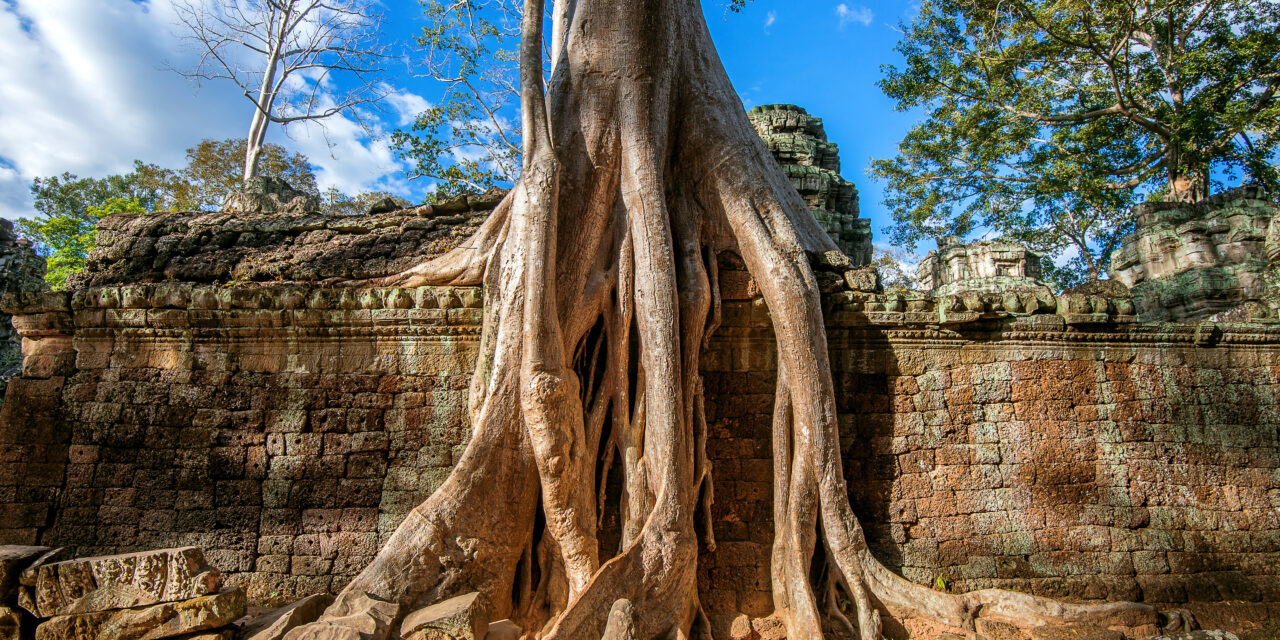 Cambogia