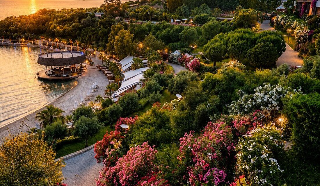 Lansare în portofoliul Traviator: Programul de NeuroFitness și resetare mentală de la Vitalica Wellness Bodrum
